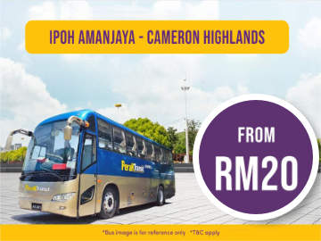 Express Bus from Ipoh to Cameron Highlands