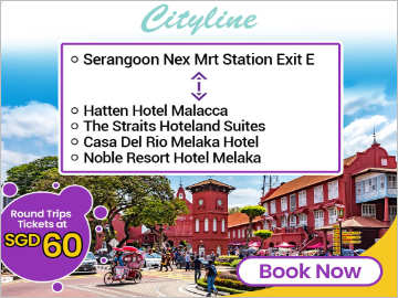 Cityline Bus from Serangoon NEX MRT Station Exit E to Malacca