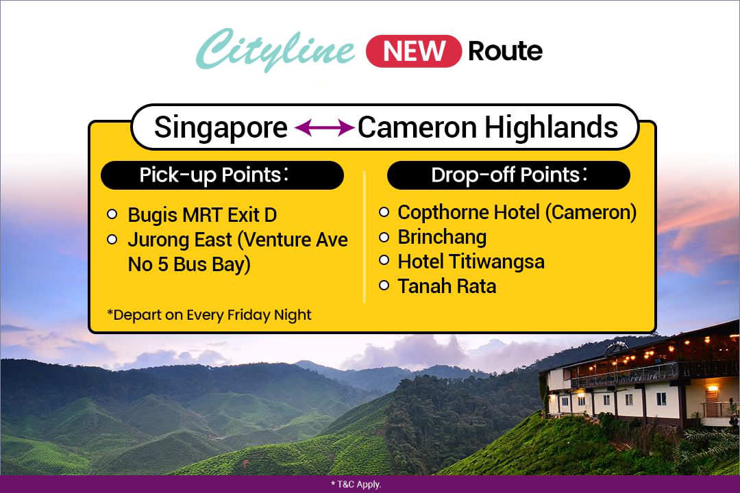 Express Bus from Bugis & Jurong East to Cameron Highlands