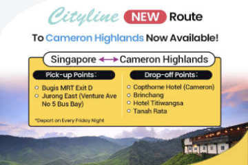 Express Bus from Bugis & Jurong East to Cameron Highlands