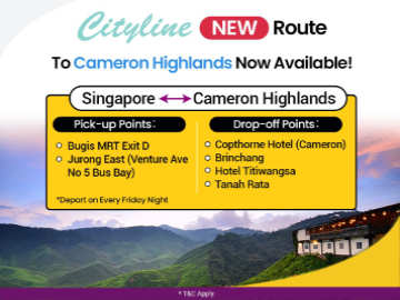 Express Bus from Bugis and Jurong East to Cameron Highlands