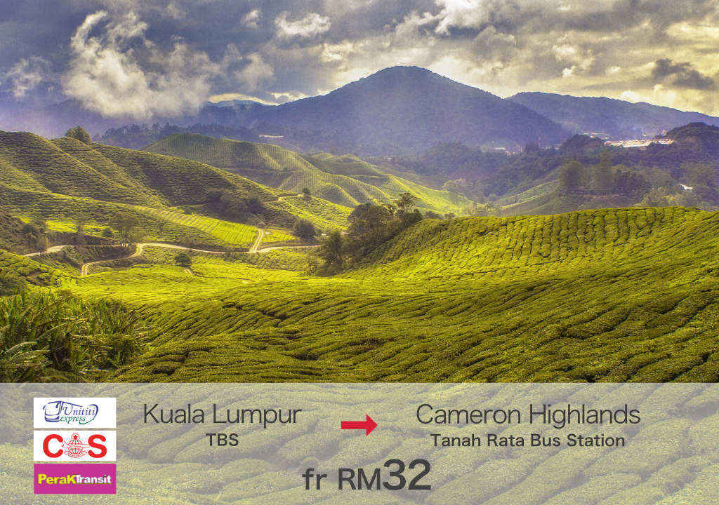 Bus from Kuala Lumpur to Cameron Highlands