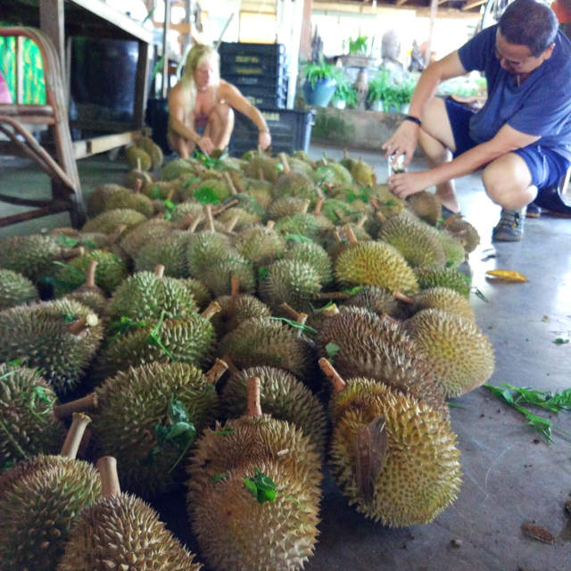 Penang Durian Buffet